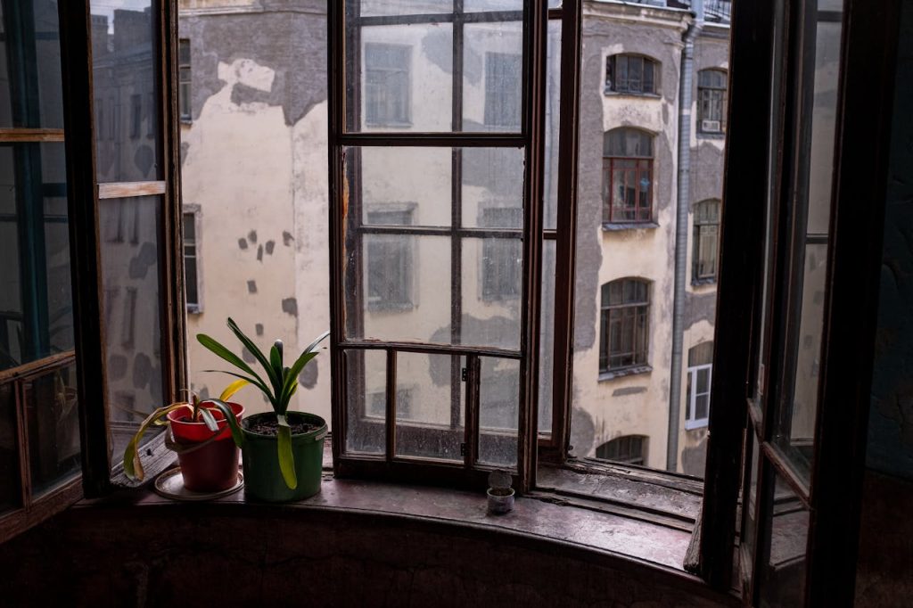 Old window view with plants on a sill in a vintage interior setting.