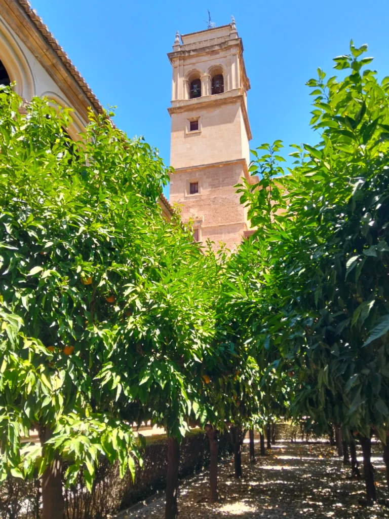 Home slider granadago 01