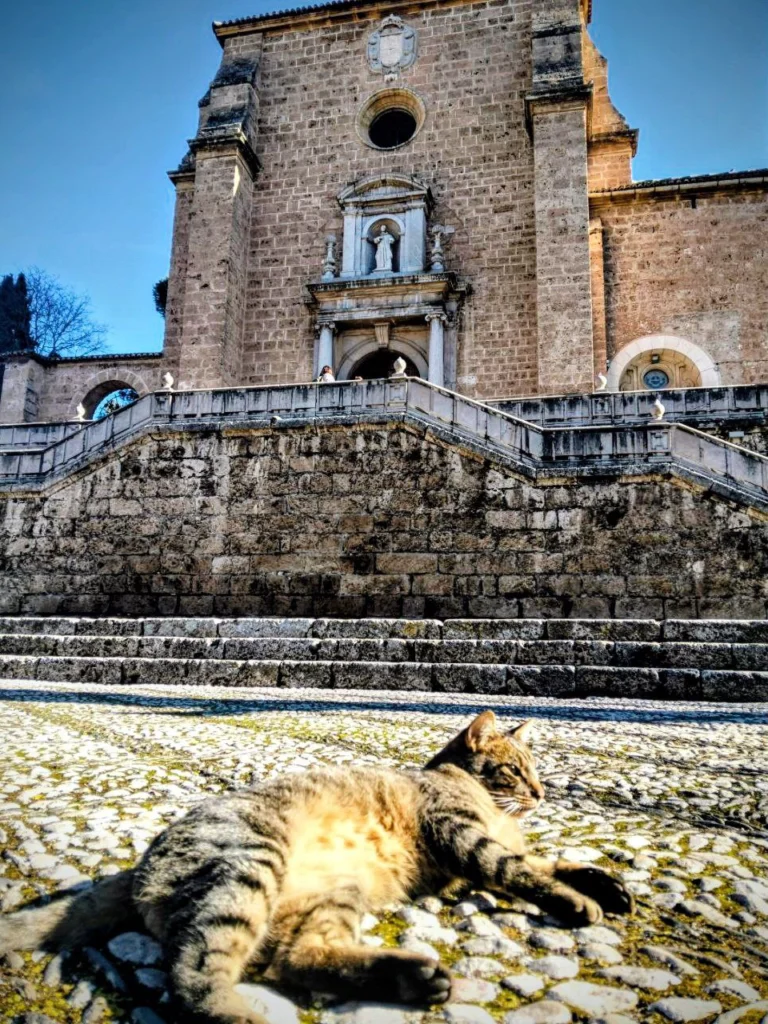 Home slider la cartuja 01